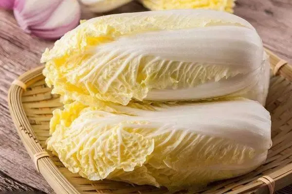 娃娃菜长得像小娃娃，在栽种的时候，应该怎样管理「儿童蔬菜种植技巧和方法图片」 娃娃菜长得像小娃娃，在栽种的时候，应该怎样管理「儿童蔬菜种植技巧和方法图片」 种植技巧