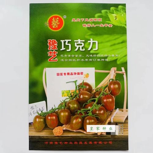 豫艺番茄品种介绍「新星番茄种子怎么种植的」 豫艺番茄品种介绍「新星番茄种子怎么种植的」 土壤施肥
