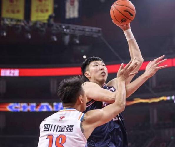 中国男篮的集训名单是怎么制定的？决定权是杜锋吗「怎么快速种植番茄树根子呢」 中国男篮的集训名单是怎么制定的？决定权是杜锋吗「怎么快速种植番茄树根子呢」 花朵知识