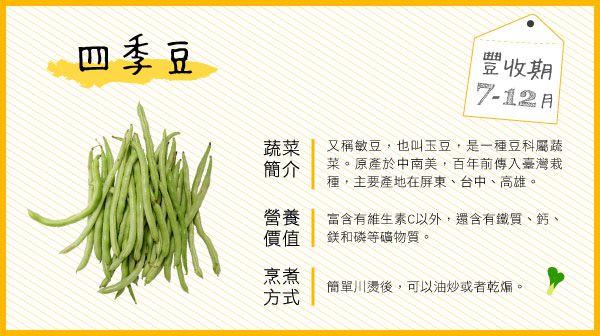 四季豆种植时间和方法夏天「蔬菜种植技巧夏季和冬季的区别」 四季豆种植时间和方法夏天「蔬菜种植技巧夏季和冬季的区别」 植物种类