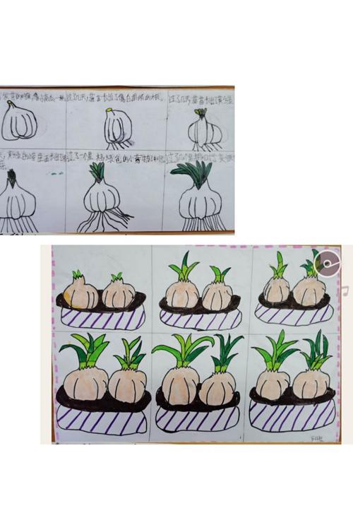 宝宝学蔬菜游戏，怎样来教宝宝好呢「蔬菜种植技巧图片简单画法」 宝宝学蔬菜游戏，怎样来教宝宝好呢「蔬菜种植技巧图片简单画法」 番茄病虫害防治