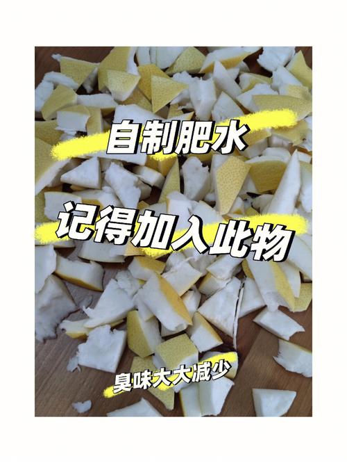 水果沤肥的液体在蔬菜种植过程怎么使用「蔬菜种植技巧直播视频」 水果沤肥的液体在蔬菜种植过程怎么使用「蔬菜种植技巧直播视频」 番茄病虫害防治