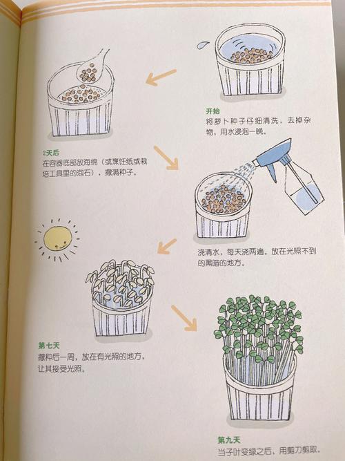 菜种子的种植方法和注意事项「蔬菜种子的种植技巧和方法」 菜种子的种植方法和注意事项「蔬菜种子的种植技巧和方法」 番茄种植技巧