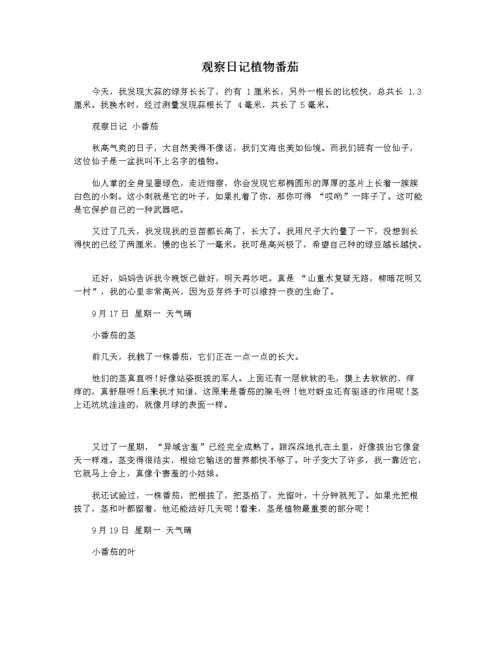 幼儿园观察蔬菜生长背景怎么写「番茄发芽种植日记怎么写三年级」 幼儿园观察蔬菜生长背景怎么写「番茄发芽种植日记怎么写三年级」 植物种类