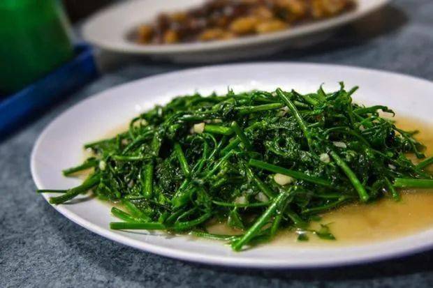 海南野菜种植方法「海南蔬菜种植小技巧和方法」 海南野菜种植方法「海南蔬菜种植小技巧和方法」 土壤施肥