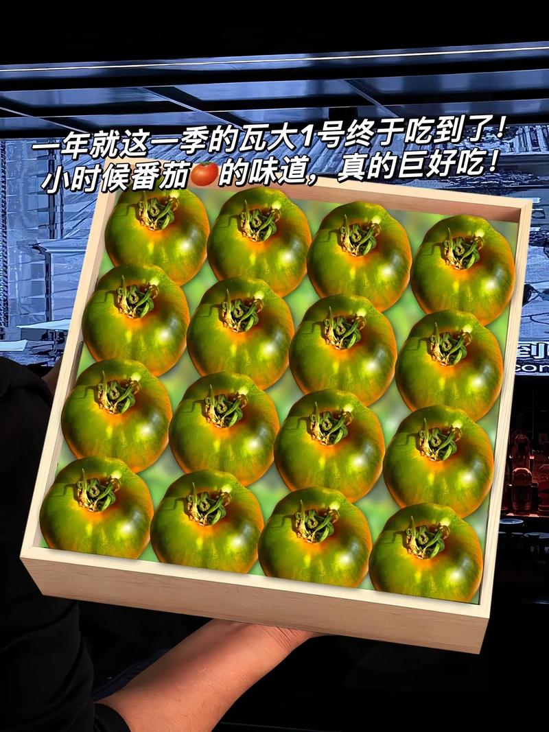 铁皮西红柿和草莓西红柿的区别「怎么种植草莓番茄视频」 铁皮西红柿和草莓西红柿的区别「怎么种植草莓番茄视频」 农业常识