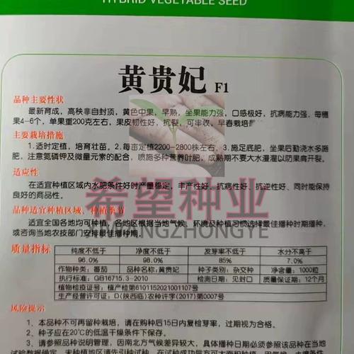 黄贵妃番茄种子种法「大番茄老种子怎么种植视频」 黄贵妃番茄种子种法「大番茄老种子怎么种植视频」 番茄种植技巧