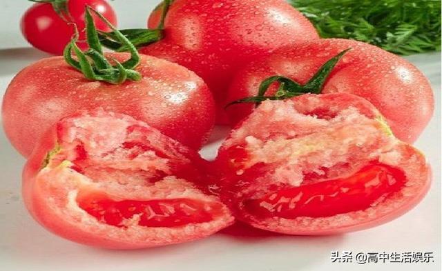 头条上的番茄，西瓜视频，走路赚钱是真实的吗？还有拼多多「江苏番茄怎么种植视频教程」 头条上的番茄，西瓜视频，走路赚钱是真实的吗？还有拼多多「江苏番茄怎么种植视频教程」 农业常识