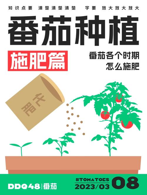 番茄种植施肥管理技术都有哪些「凉台种植番茄怎么施肥视频」 番茄种植施肥管理技术都有哪些「凉台种植番茄怎么施肥视频」 植物种类
