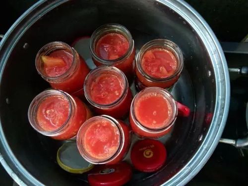 西红柿灌瓶子的做法「空水瓶种番茄怎么种植视频」 西红柿灌瓶子的做法「空水瓶种番茄怎么种植视频」 花朵知识