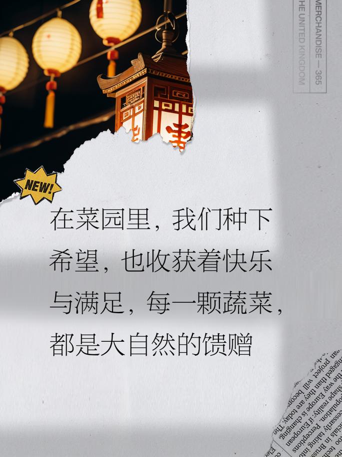 自己种的蔬菜最火的文案「蔬菜种植技巧视频文案怎么写」 自己种的蔬菜最火的文案「蔬菜种植技巧视频文案怎么写」 番茄种植技巧
