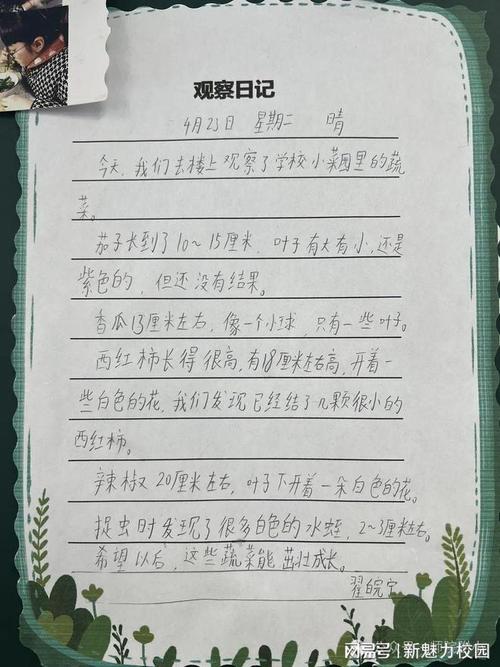 关于种植西红柿的文案「番茄种植报告怎么写的」 关于种植西红柿的文案「番茄种植报告怎么写的」 花朵知识