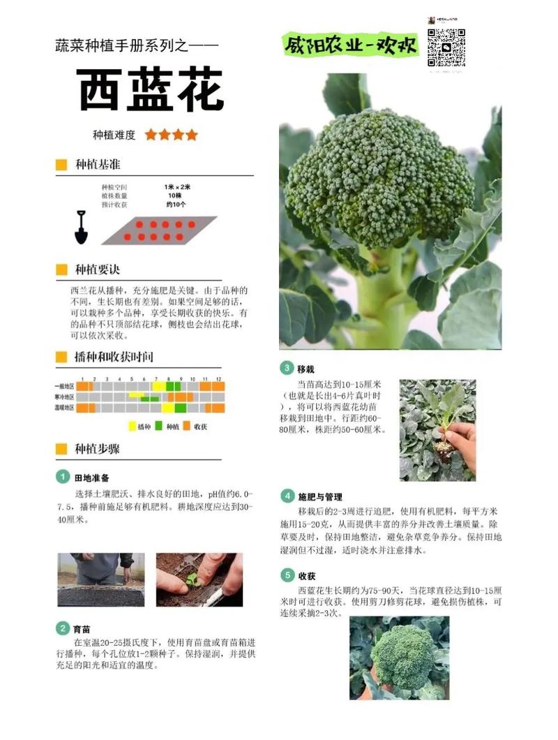 哪些水果蔬菜种植简单，易成活，很快结果的「蔬菜种植技巧合集图解大全」 哪些水果蔬菜种植简单，易成活，很快结果的「蔬菜种植技巧合集图解大全」 植物种类