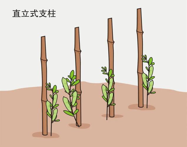 蔬菜爬藤架怎么搭牢固「爬藤蔬菜种植技巧视频」 蔬菜爬藤架怎么搭牢固「爬藤蔬菜种植技巧视频」 番茄病虫害防治
