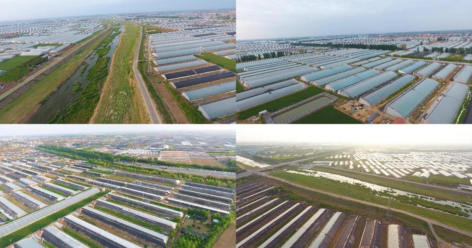 2021年寿光蔬菜的种植面积和种类「寿光蔬菜种植技术技巧图片」 2021年寿光蔬菜的种植面积和种类「寿光蔬菜种植技术技巧图片」 土壤施肥