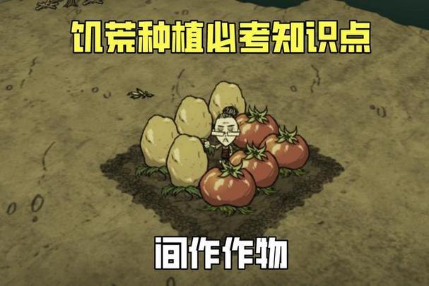 饥荒联机版番茄做法「饥荒葫芦番茄怎么种植的」 饥荒联机版番茄做法「饥荒葫芦番茄怎么种植的」 土壤施肥