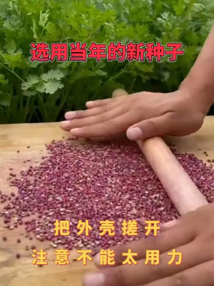 湖南春季适合种植哪些蔬菜「春天蔬菜种植小技巧图片大全」 湖南春季适合种植哪些蔬菜「春天蔬菜种植小技巧图片大全」 花朵知识