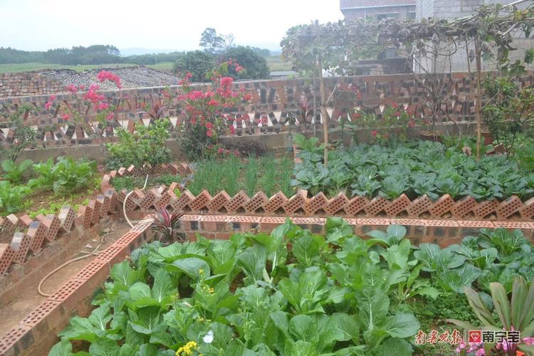 农村人为什么喜欢在房前屋后种菜，一般不上街买菜「菜地蔬菜种植技巧视频教程」 农村人为什么喜欢在房前屋后种菜，一般不上街买菜「菜地蔬菜种植技巧视频教程」 土壤施肥