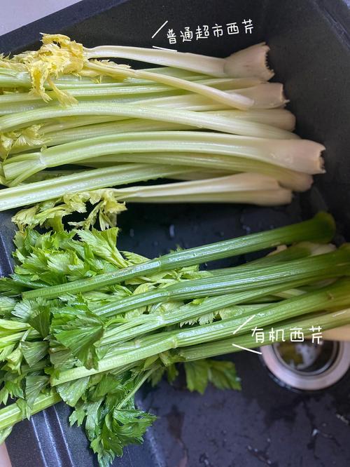 番茄、西芹、胡芹、胡萝卜等最初产地来自何方「菲律宾怎么种植番茄的视频」 番茄、西芹、胡芹、胡萝卜等最初产地来自何方「菲律宾怎么种植番茄的视频」 番茄种植技巧