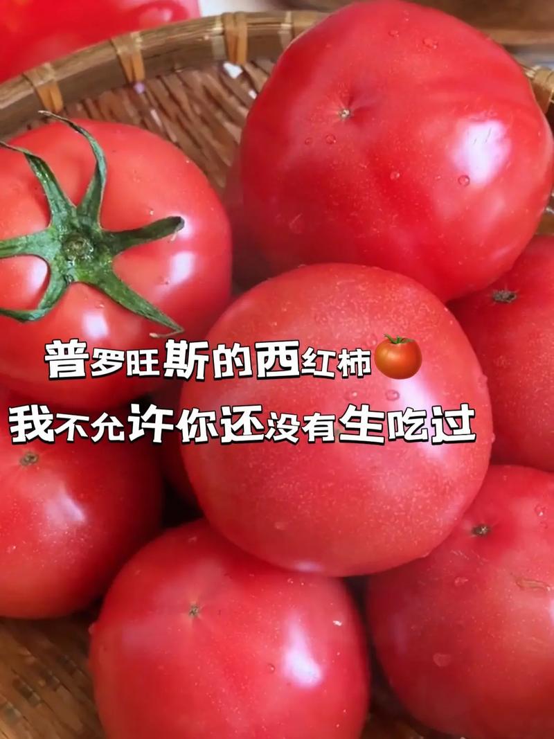 水果西红柿文案「种植番茄讲解文案怎么写好」 水果西红柿文案「种植番茄讲解文案怎么写好」 土壤施肥