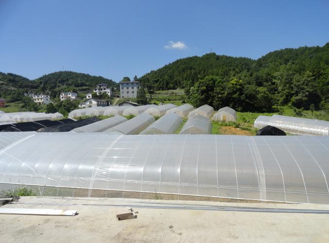 怎么种大棚蔬菜「大栅栏具体位置」 怎么种大棚蔬菜「大栅栏具体位置」 土壤施肥