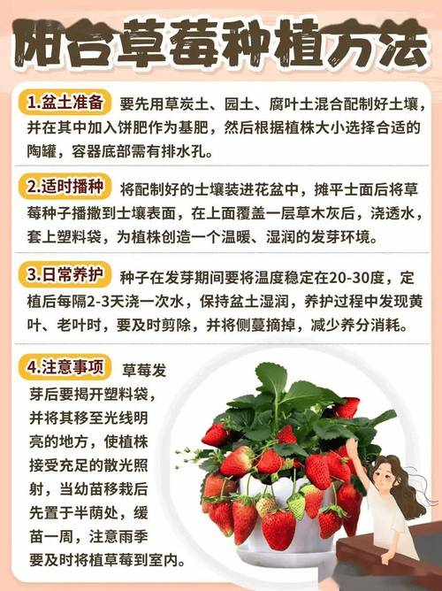 如何种植草霉「四季红蔬菜种植小技巧视频」 如何种植草霉「四季红蔬菜种植小技巧视频」 种植技巧
