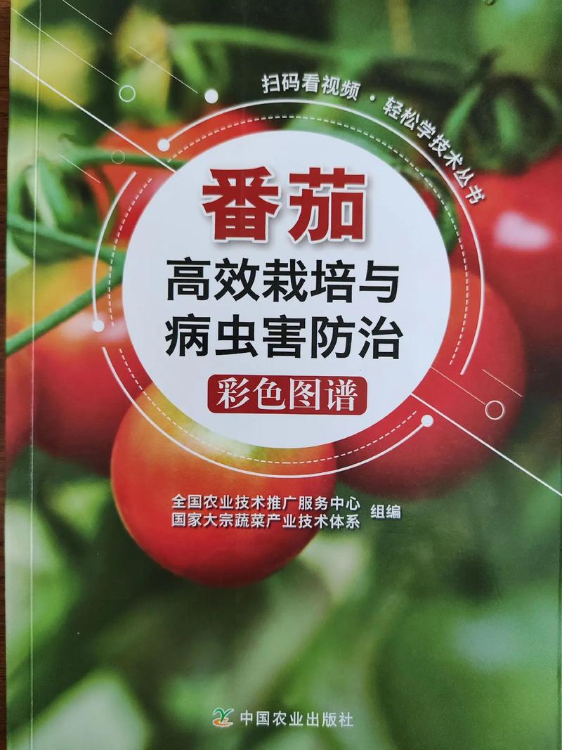 西红柿生虫子怎么办「番茄种植怎么防虫害」 西红柿生虫子怎么办「番茄种植怎么防虫害」 农业常识