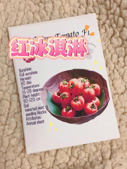 西红柿冰淇淋做法「日本冰激凌番茄怎么种植的」 西红柿冰淇淋做法「日本冰激凌番茄怎么种植的」 番茄种植技巧