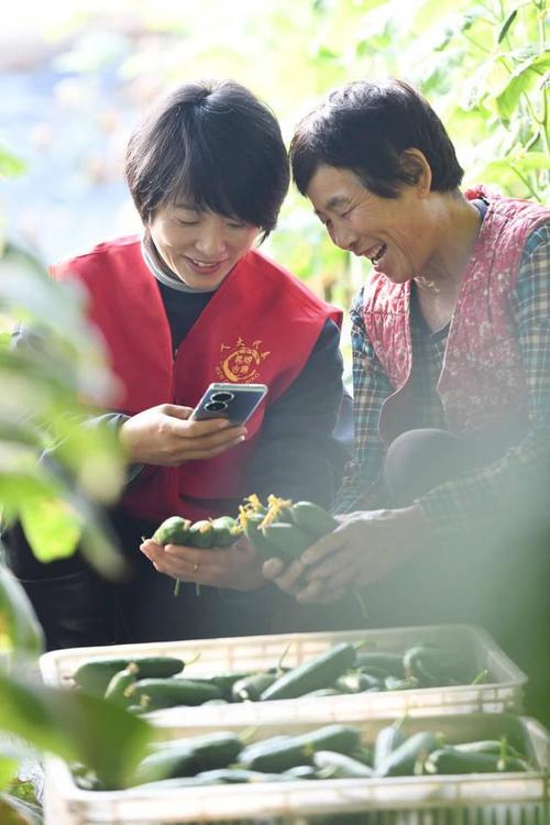 蔬菜基地的菜销售模式是怎样的「蔬菜种植的推销方法和技巧视频」 蔬菜基地的菜销售模式是怎样的「蔬菜种植的推销方法和技巧视频」 土壤施肥