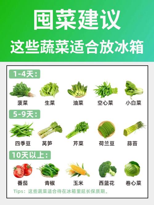 家里没冰箱！如何使蔬菜，水果，保鲜更长久「黄红番茄种子怎么种植视频」 家里没冰箱！如何使蔬菜，水果，保鲜更长久「黄红番茄种子怎么种植视频」 土壤施肥