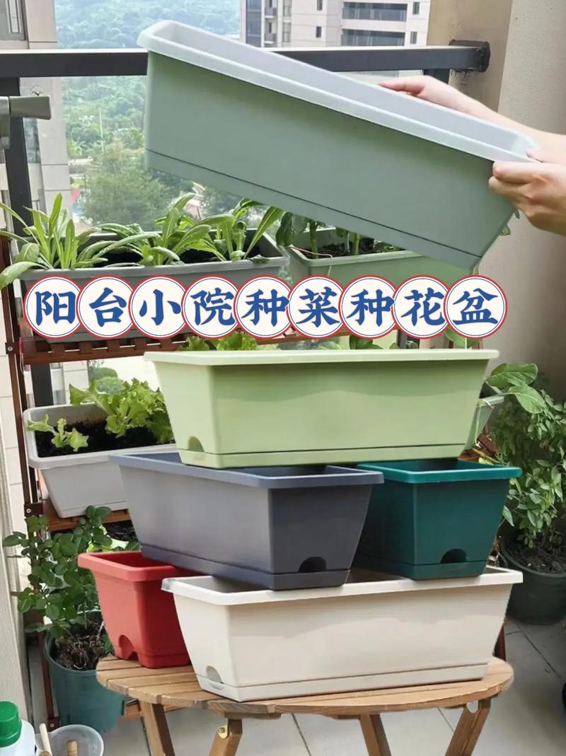 怎样自制阳台种菜盆「阳台盆栽蔬菜种植方法」 怎样自制阳台种菜盆「阳台盆栽蔬菜种植方法」 种植技巧