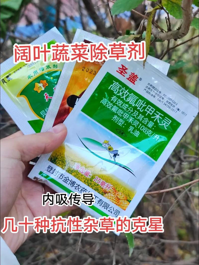蔬菜受了除草剂药害怎么办「蔬菜种植小技巧防虫药害视频」 蔬菜受了除草剂药害怎么办「蔬菜种植小技巧防虫药害视频」 番茄病虫害防治