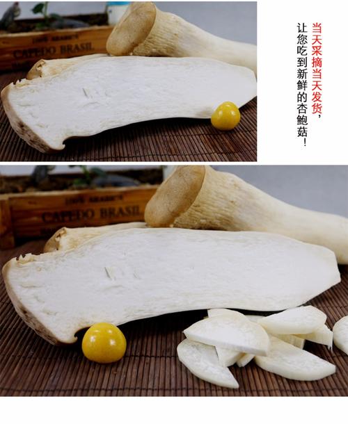杏鲍菇菌盖能用强氯精消毒吗「蔬菜种植杀菌技巧视频讲解大全」 杏鲍菇菌盖能用强氯精消毒吗「蔬菜种植杀菌技巧视频讲解大全」 花朵知识