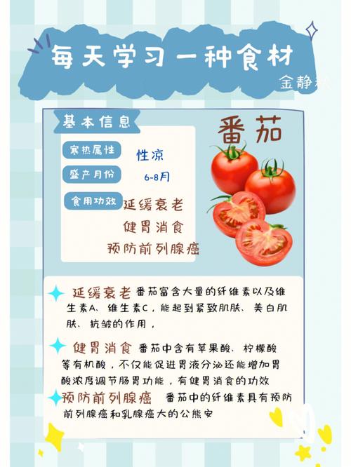 怎样煮番茄才能让其中的番茄红素最大的被吸收呢「地栽番茄怎么避光种植呢」 怎样煮番茄才能让其中的番茄红素最大的被吸收呢「地栽番茄怎么避光种植呢」 番茄种植技巧
