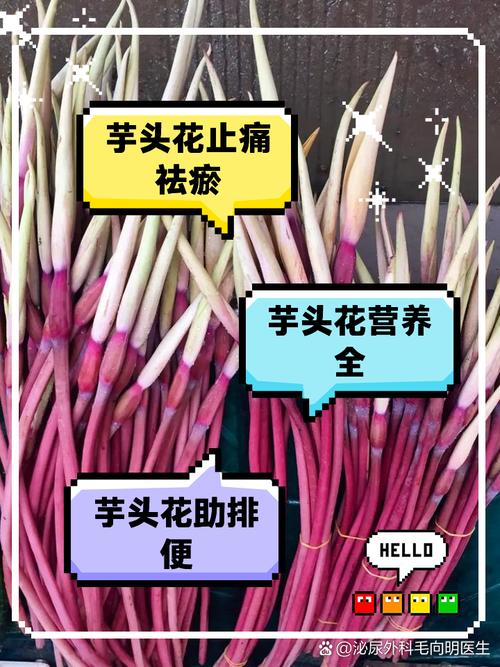 芋头花做法「芋头怎么种植小番茄视频」 芋头花做法「芋头怎么种植小番茄视频」 植物种类