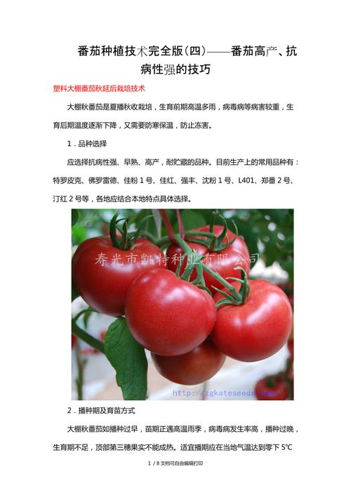 番茄种植高产技术详情「新疆番茄种植怎么中耕的」 番茄种植高产技术详情「新疆番茄种植怎么中耕的」 农业常识