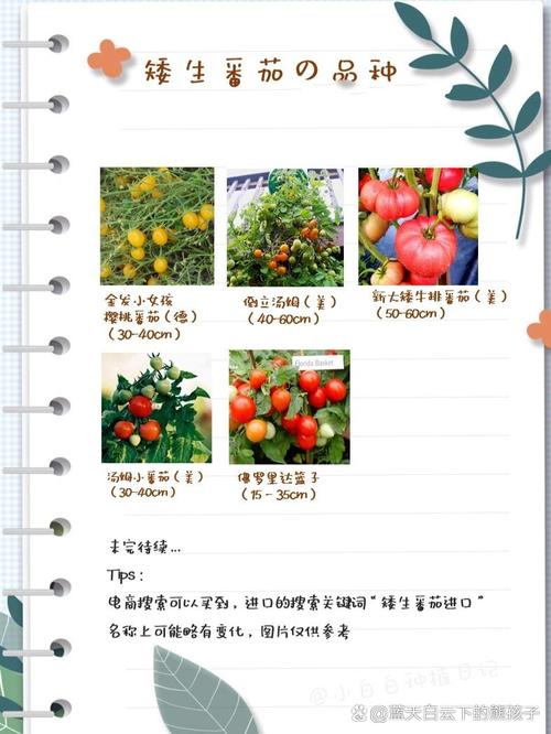 番茄最新好品种「怎么种植番茄高产品种呢」 番茄最新好品种「怎么种植番茄高产品种呢」 花朵知识