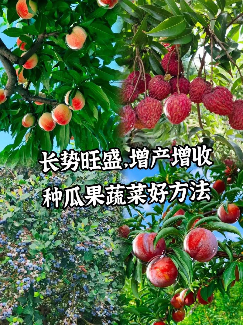 瓜果蔬菜，如何解决连作障碍，实现增产增收「瓜果蔬菜种植技术」 瓜果蔬菜，如何解决连作障碍，实现增产增收「瓜果蔬菜种植技术」 植物种类