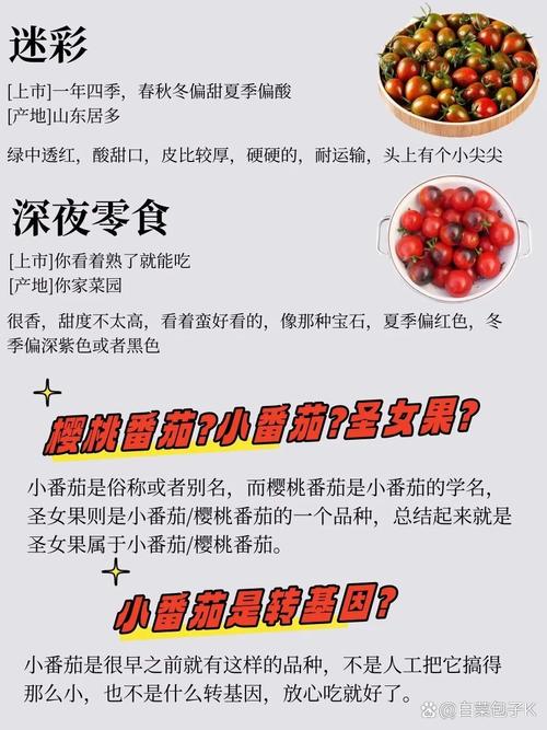 圣女果多久开花结果「小番茄怎么种植才结果多」 番茄种植技巧 圣女果多久开花结果「小番茄怎么种植才结果多」 圣女果多久开花结果「小番茄怎么种植才结果多」 番茄种植技巧