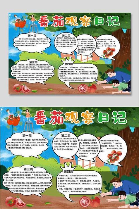 番茄计划使用方法「番茄种植计划怎么写的」 番茄计划使用方法「番茄种植计划怎么写的」 番茄病虫害防治