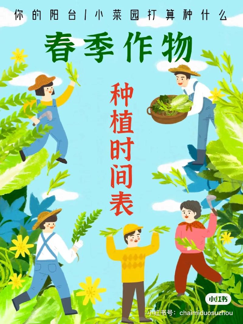 2020年春季适合播种哪些蔬菜，蔬菜种植注意事项又有哪些呢「所有蔬菜种植小技巧视频教程」 2020年春季适合播种哪些蔬菜，蔬菜种植注意事项又有哪些呢「所有蔬菜种植小技巧视频教程」 种植技巧