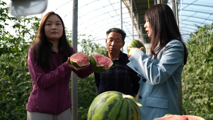 在菏泽的农村家中做什么生意比较好呀「菏泽蔬菜种植基地」 在菏泽的农村家中做什么生意比较好呀「菏泽蔬菜种植基地」 农业常识