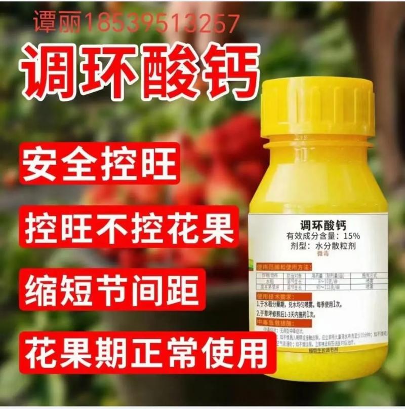 小番茄控旺的正确方法「种植番茄控旺有哪些调环酸钙还有哪几种药物」 小番茄控旺的正确方法「种植番茄控旺有哪些调环酸钙还有哪几种药物」 番茄种植技巧