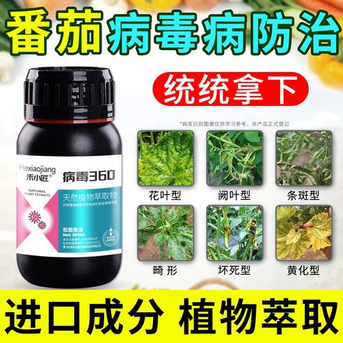 番茄地里用什么消毒效果最好「大棚番茄种植后怎么消毒呢」 番茄地里用什么消毒效果最好「大棚番茄种植后怎么消毒呢」 番茄种植技巧
