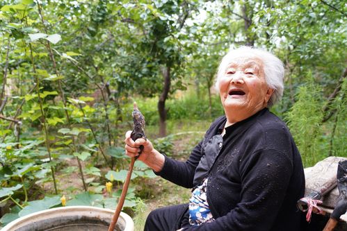 为什么离开农村在城市生活的很好,但老了还想回农村「百岁老人种菜」 土壤施肥 为什么离开农村在城市生活的很好,但老了还想回农村「百岁老人种菜」 为什么离开农村在城市生活的很好,但老了还想回农村「百岁老人种菜」 土壤施肥