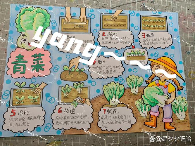 幼儿园种植蔬菜方法「蔬菜种植技巧与方法图片大全」 幼儿园种植蔬菜方法「蔬菜种植技巧与方法图片大全」 土壤施肥