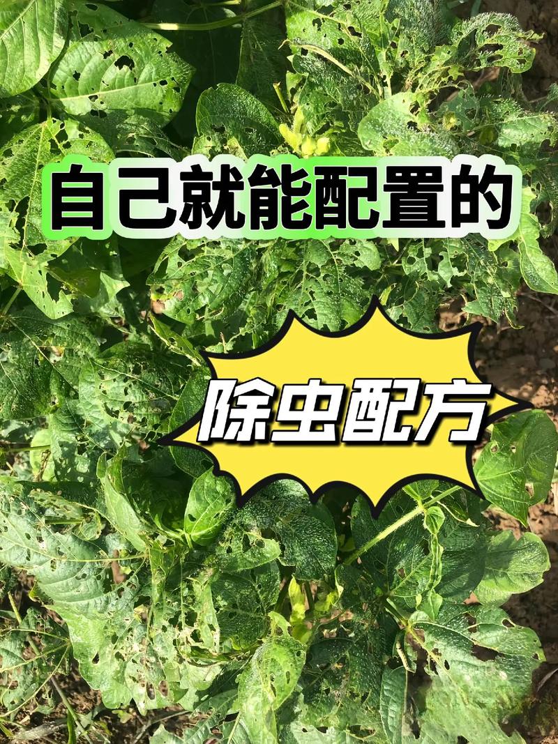 菜地防虫最好的方法「蔬菜种植技巧防虫害措施」 菜地防虫最好的方法「蔬菜种植技巧防虫害措施」 番茄病虫害防治