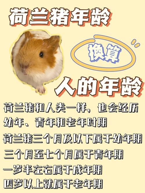 听说有人养的荷兰猪寿命破了吉尼斯纪录，那是怎么养的「萌宠种植园番茄怎么种植的」 听说有人养的荷兰猪寿命破了吉尼斯纪录，那是怎么养的「萌宠种植园番茄怎么种植的」 番茄病虫害防治