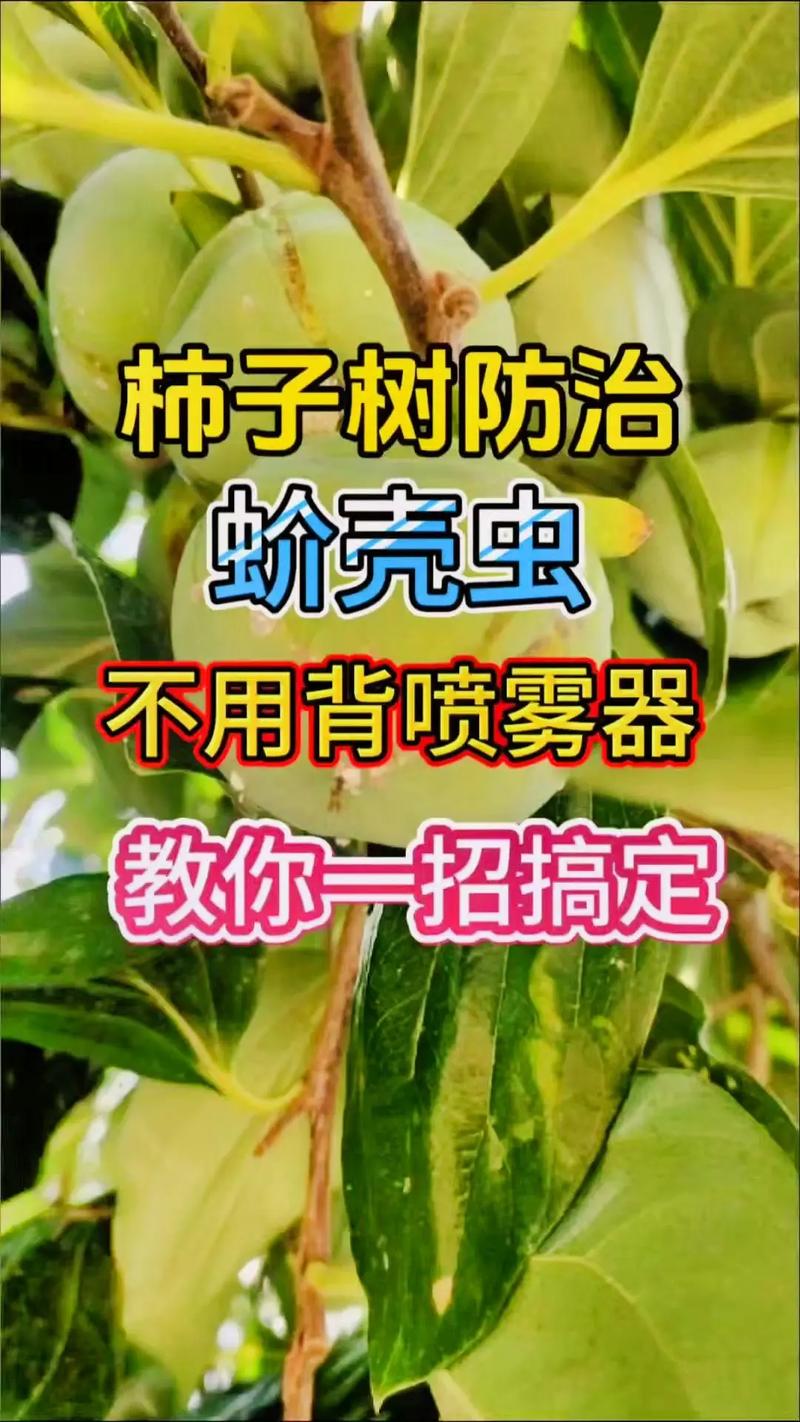 番茄生虫子怎么处理方法「种植番茄怎么长虫子了」 番茄生虫子怎么处理方法「种植番茄怎么长虫子了」 番茄病虫害防治