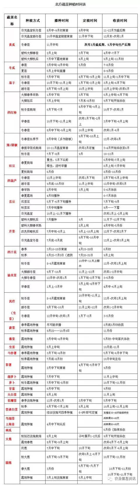 四季菜种植时间和方法「秋天蔬菜种植方法和技巧视频」 番茄病虫害防治 四季菜种植时间和方法「秋天蔬菜种植方法和技巧视频」 四季菜种植时间和方法「秋天蔬菜种植方法和技巧视频」 番茄病虫害防治